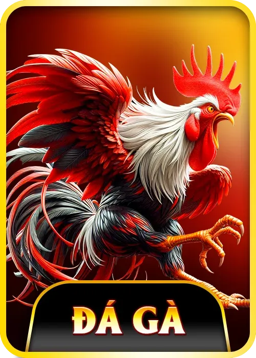 Hubet ⭐️ Nhà Cái Cá Cược Uy Tín Hubet.com Tặng 88K 6 Đá gà kịch tính
